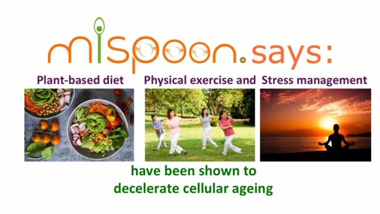 #mispoon says: plant-based diet, physical exercise and stress management have been shown to decelerate cellular ageing